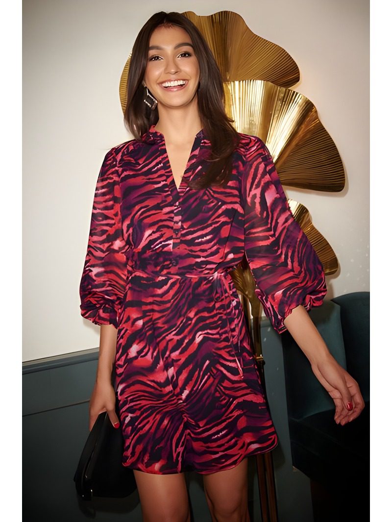 Chiffon Skater Mini Dress Chiffon Skater Mini Dress